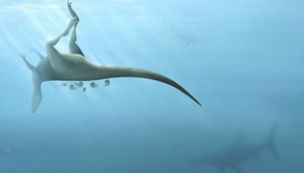 Descubren una nueva especie de dinosaurio en la isla británica de Wight