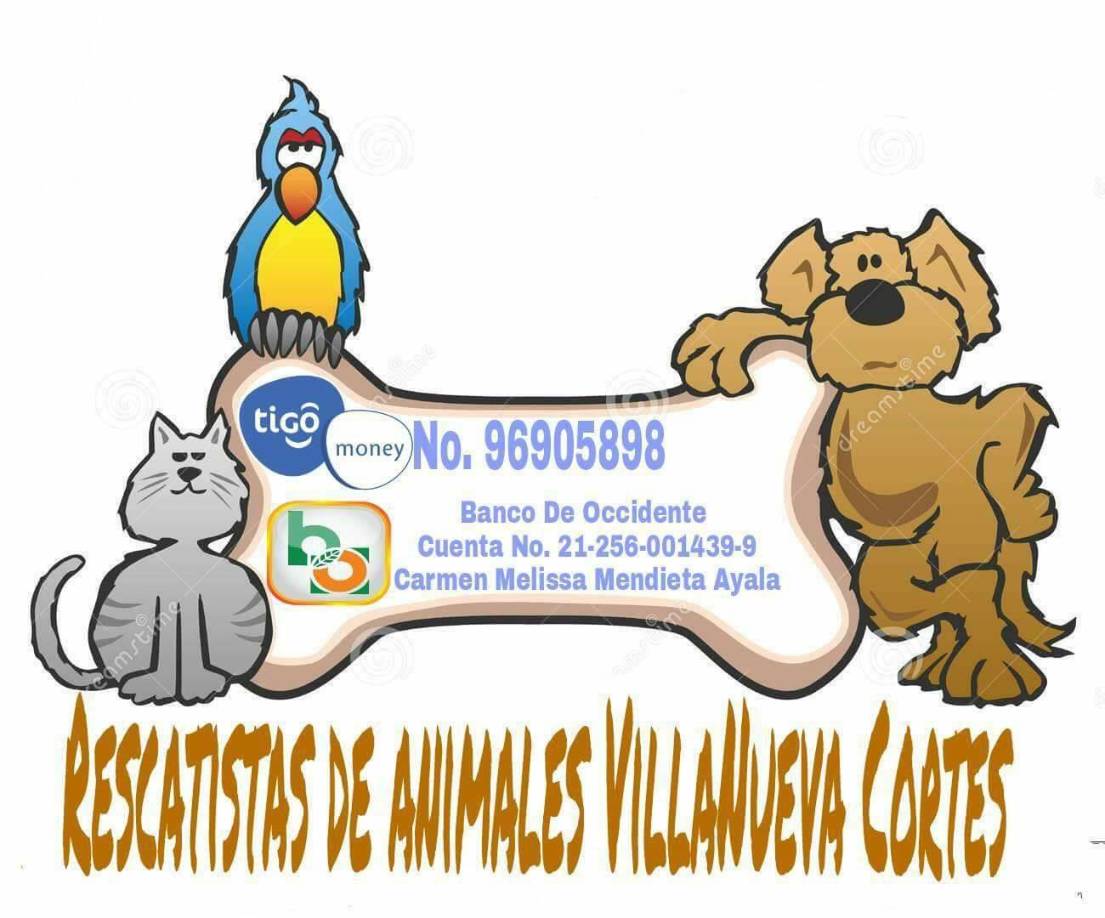 RESCATISTAS DE ANIMALES (Villanueva) - “Somos un grupo de personas rescatando animales que viven en las calles en mal estado para darles una vida mejor”, afirman en sus redes sociales. Haga sus donativos por Tigo Money o Banco de Occidente.