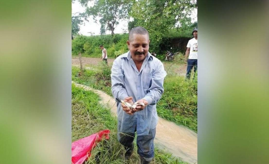Lluvia de peces en Yoro: misterio anual revelado
