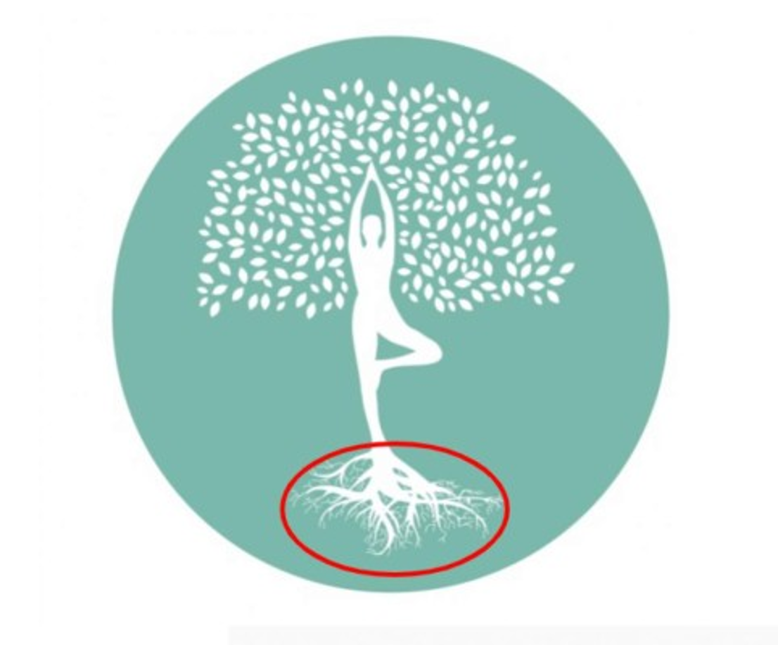 3. Raíces<br/><br/>Si tu viste fue directamente a las extensas raíces del árbol es porque estás aferrándote demasiado a algo: situaciones que te hacen daño pero no sabes soltar.<br/><br/>Es momento de que entiendas que necesitas nutrirte de tu pasado y tenerlo siempre presenten para no cometer los mismos errores. Pero recuerda que tú no eres un árbol, eres una persona con dos maravillosos pies para seguir adelante.<br/><br/>Es tu oportunidad de soltar el ancla y salir a lugares nuevos, para encontrar la mejor versión de ti mismo.