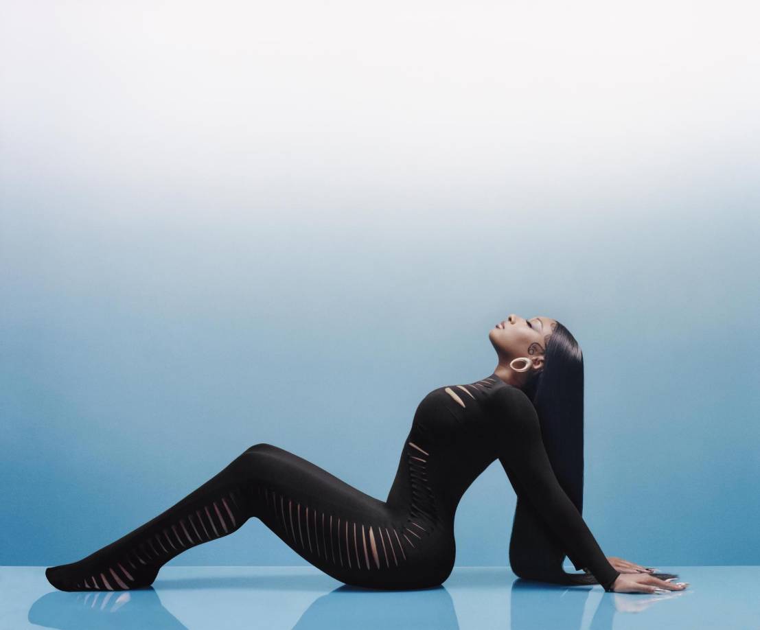 El fotógrafo Campbell Addy le tomó esta foto en 2022 a la rapera Megan The Stallion mientras posa para la revista The Cut Magazine y forma parte de la exposición. Los temas de la exposición son variados y van desde el papel de la mujer en el hip-hop; la diversificación regional y estilística y rivalidades en el género así un lente humanista de las pandillas callejeras de El Bronx de la década de 1970 cuyos miembros contribuyeron a su nacimiento.