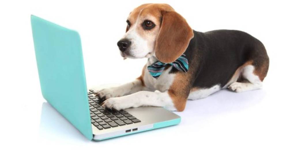 Perros aprenden a jugar videojuegos