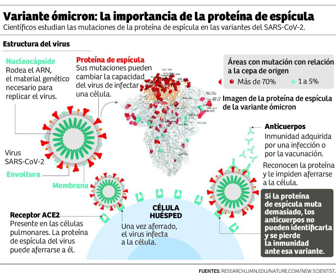 La ómicron es 15 veces más contagiosa que la variante original: Doctor Umaña