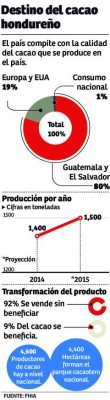 Cacao hondureño quiere una mayor cuota de mercado global