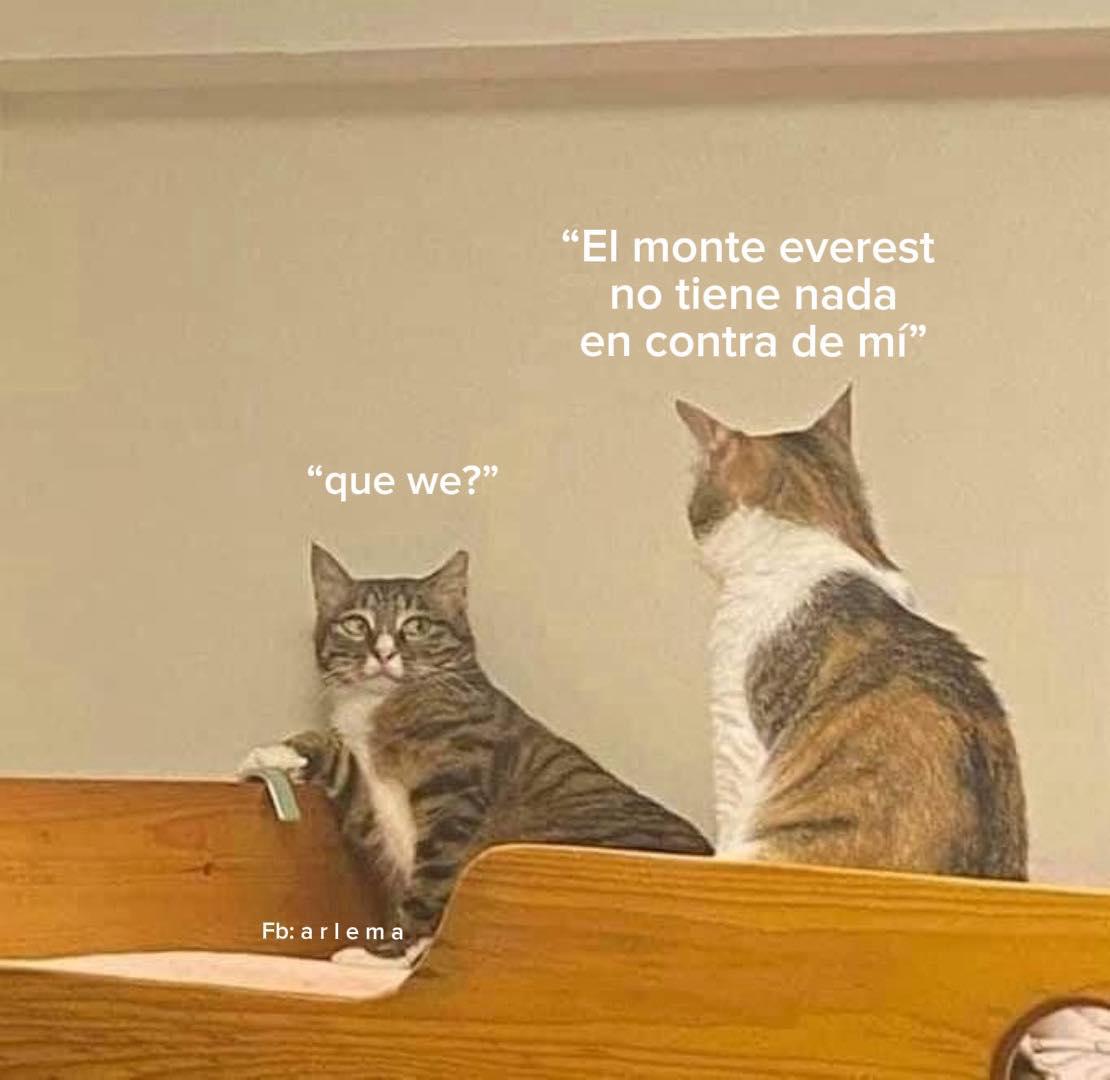 ¿Qué significa “El Monte Everest no tiene nada en contra de mi ”? el meme viral en redes