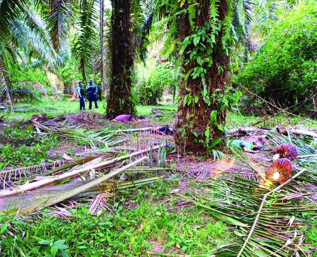 Las bandas delictivas que hurtan la fruta de palma mantienen una férrea disputa por las fincas, dejando ayer tres muertos.