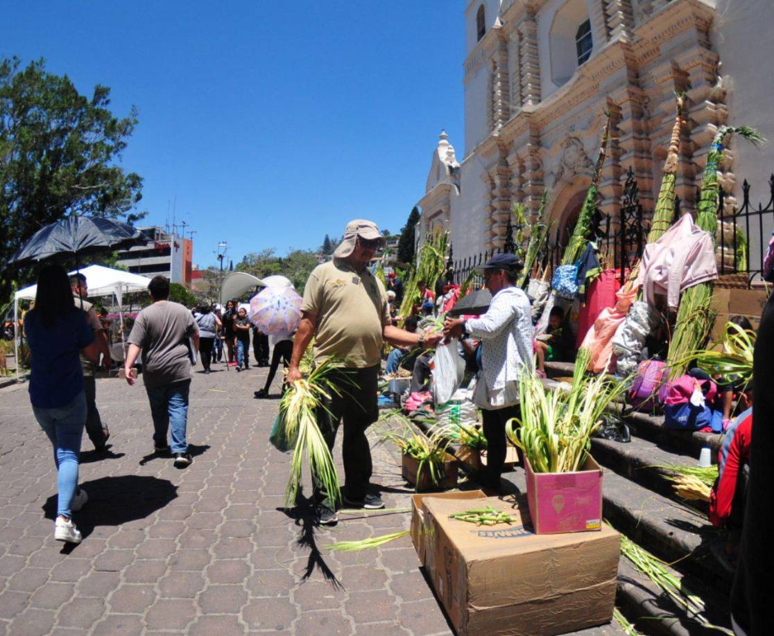 Hondureños compran palmas para el Domingo de Ramos