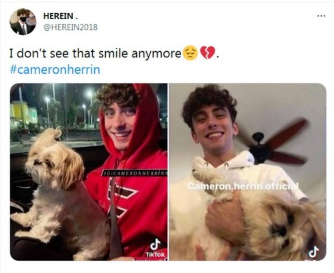 El fenómeno ha sido visto como un caso de la nueva era, en el que el poder de internet y las redes sociales desean anteponerse a, por ejemplo, la ley.