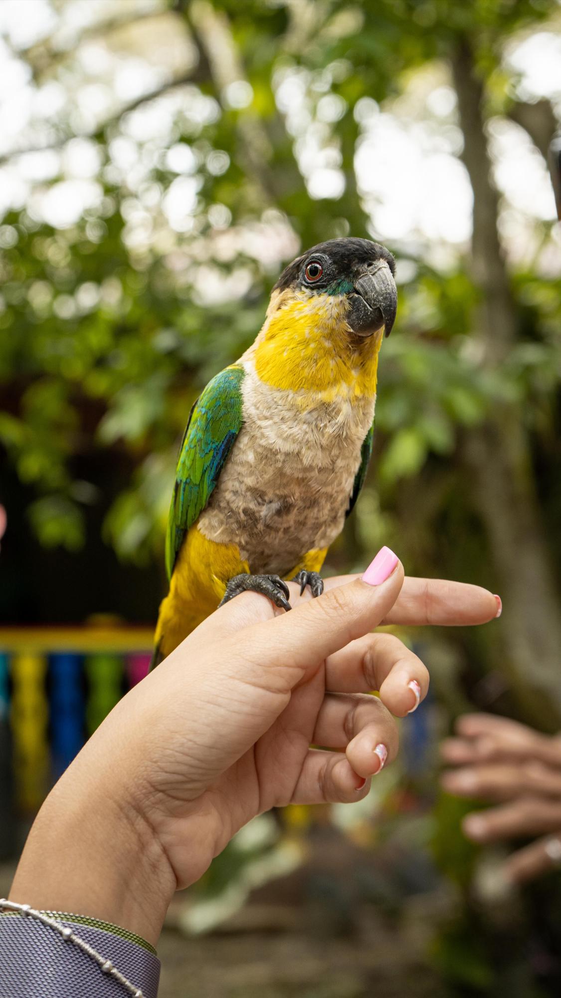 Cuidar varias mascotas ayuda con la salud mental y mejora los hábitos diarios