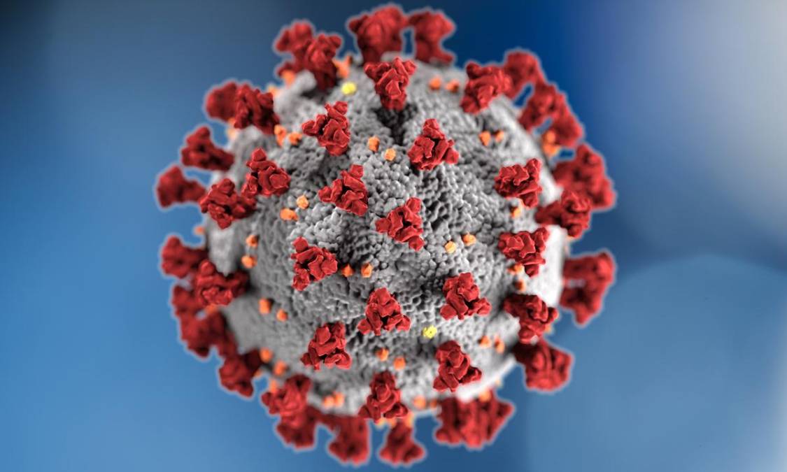 El infectólogo Tito Alvarado afirmó que “ya están la BA.4 y BA.5 de ómicron, pues por la cantidad exagerada de infectados, eso está más que seguro”.