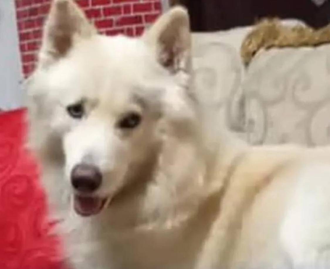 Sky se volvió famoso en 2021 luego que dos familias hondureñas se disputaran su custodia. 