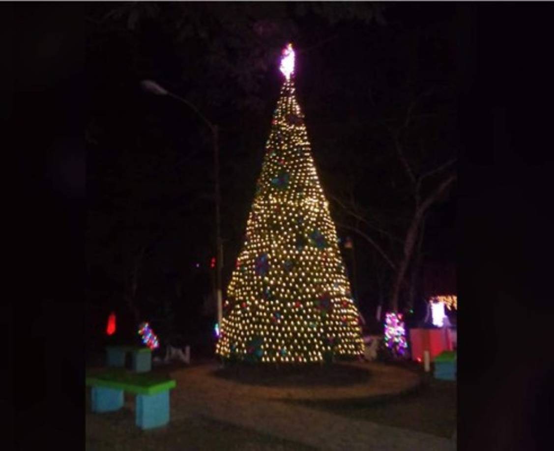 "También para su inauguración se disfrutó de la música contagiosa del grupo hondureño Los Profesionales."