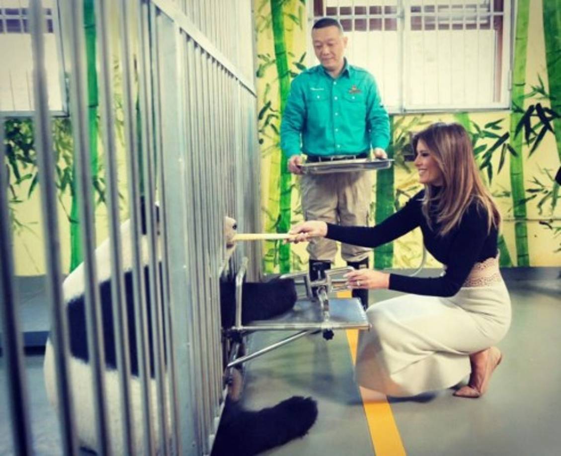 Melania dio de comer al gigantesco panda, con el que jugó durante un rato.