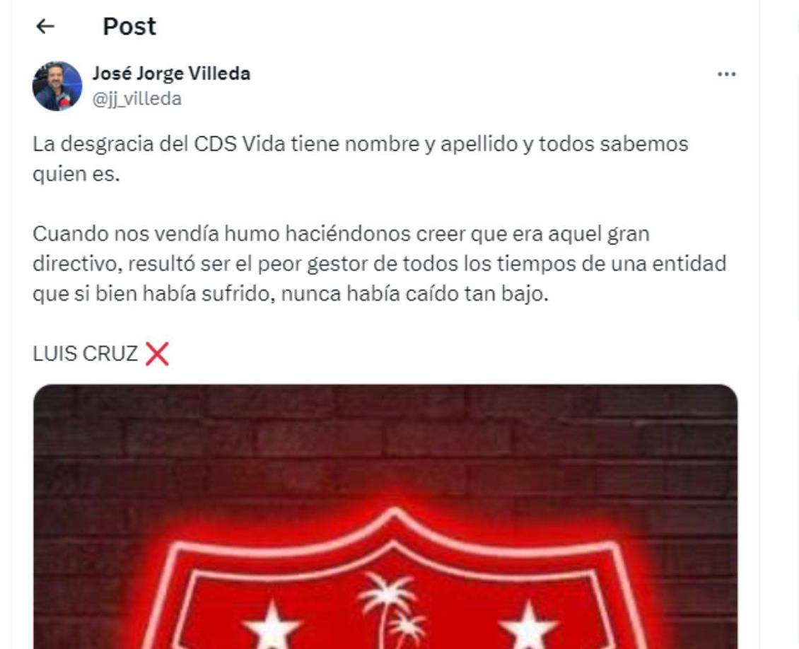 José Jorge Villeda señaló a Luis Cruz como el responsable del descenso del Vida. 