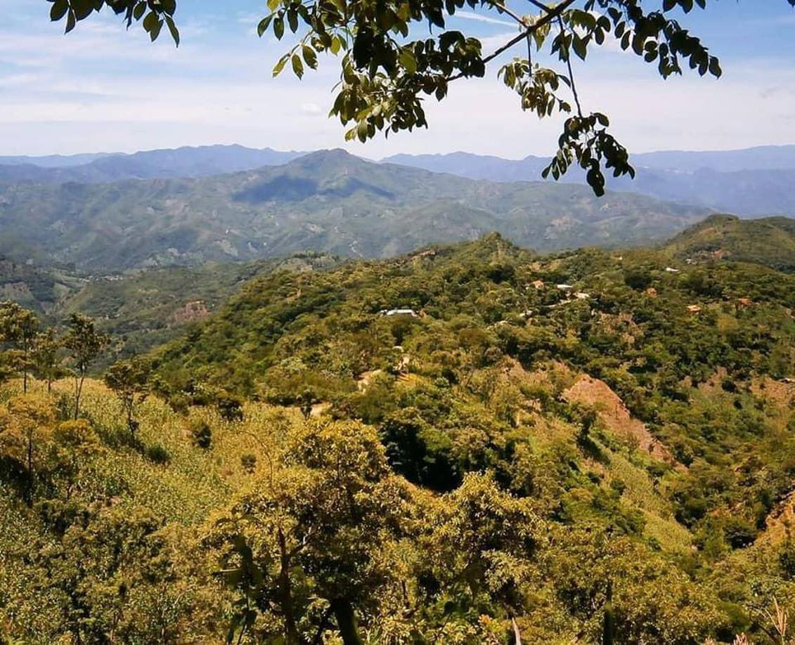 La Dirección Nacional de Prevención y Seguridad Comunitaria (DNPSC) y Dirección Policial de Investigaciones (DPI) reportaron el arresto en la aldea San Sebastián del municipio de Piraera, departamento de Lempira.