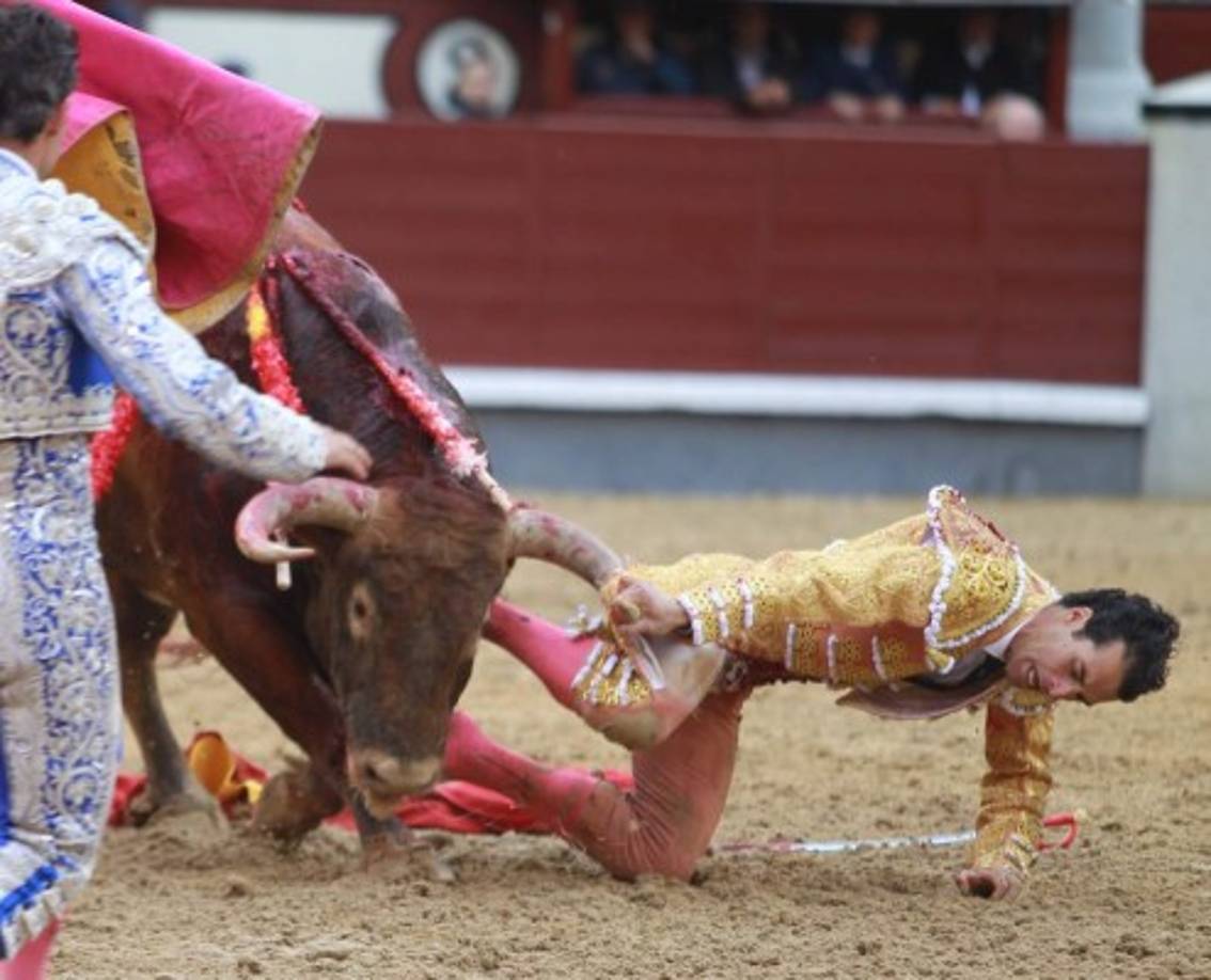El rematador español Morenito de Aranda realiza un peligroso pase a un toro durante la Feria de San Isidro, en la plaza de toros de Las Ventas ubicada en Madrid. Terminó con el pantalón desgarrado.