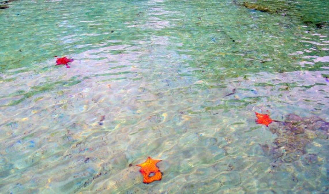 Michael's Rock Beach, Guanaja