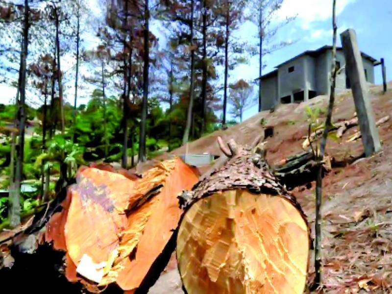 <b>Antes, el ICF no tenía la potestad de sancionar a quienes cometían las faltas.</b>