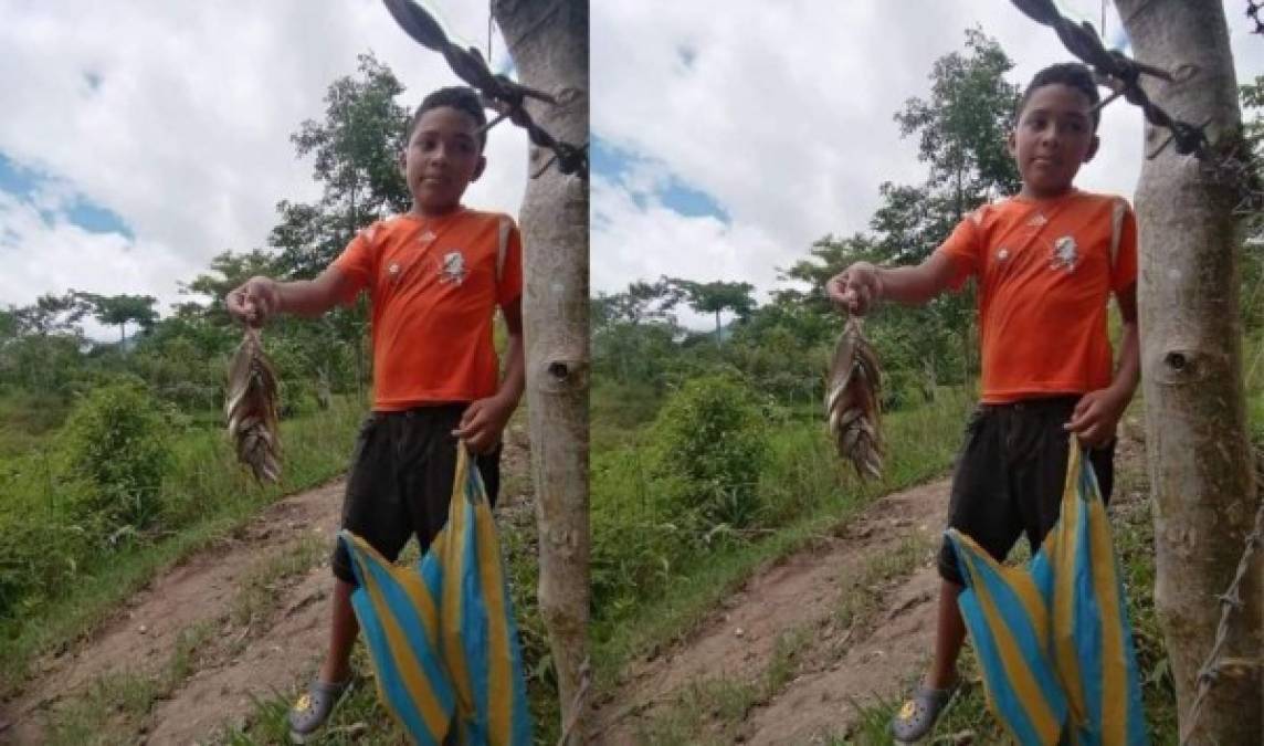 La lluvia de peces es orgullo de Yoro. Desde 1998 se celebra en el departamento el Festival de la Lluvia de Peces. Incluso el canal History Channel ha desarrollado un reportaje sobre el fenómeno. Único en el mundo.