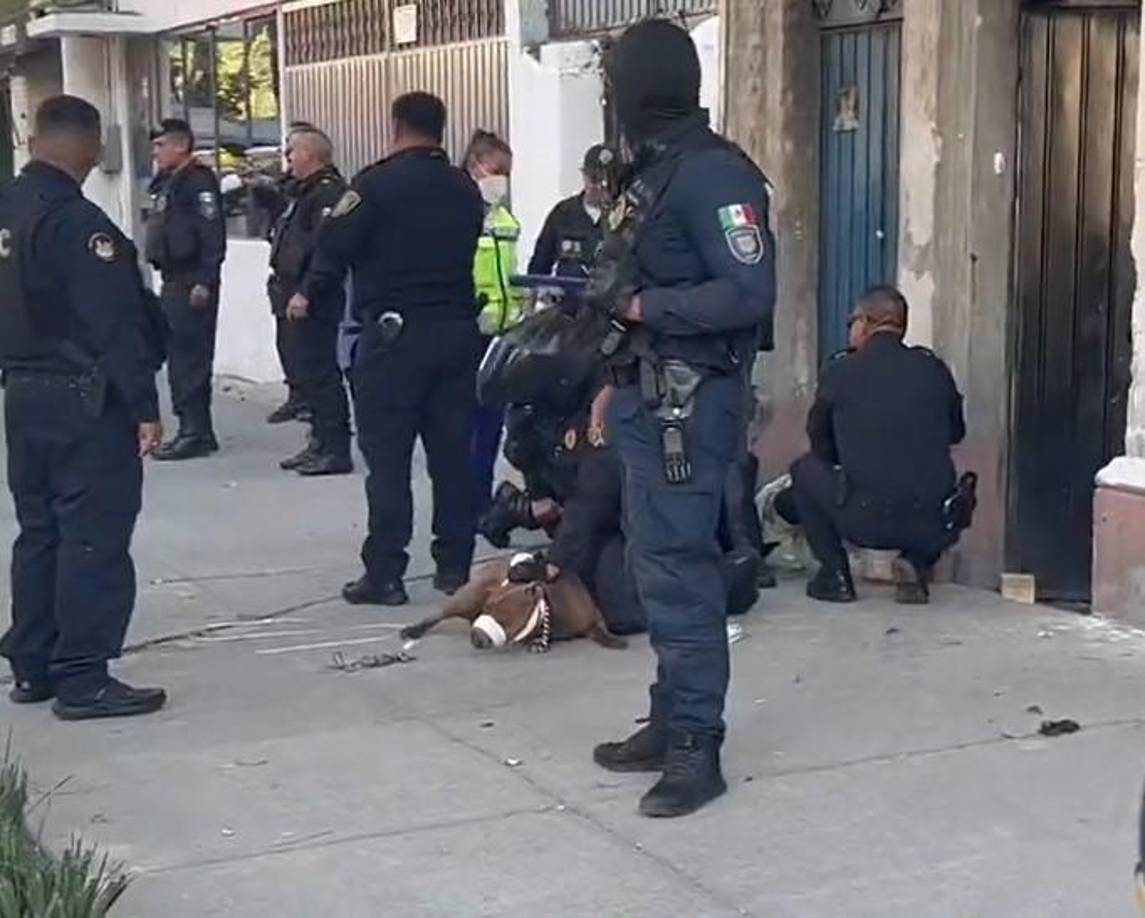 Los dos presuntos delincuentes y ambas mujeres, fueron identificados como Jorge Armando “N”, Millán “N”, Jessica Liliana “N” y Regina “N”, quienes fueron presentados ante el Ministerio Público junto con el automóvil en el que habría cometido el delito y aparente droga. El MP será quien determine su situación jurídica.