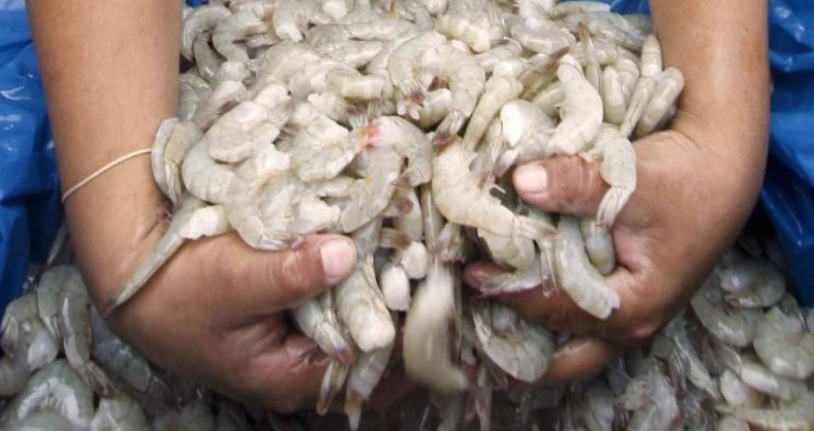 México cierra su mercado al camarón hondureño