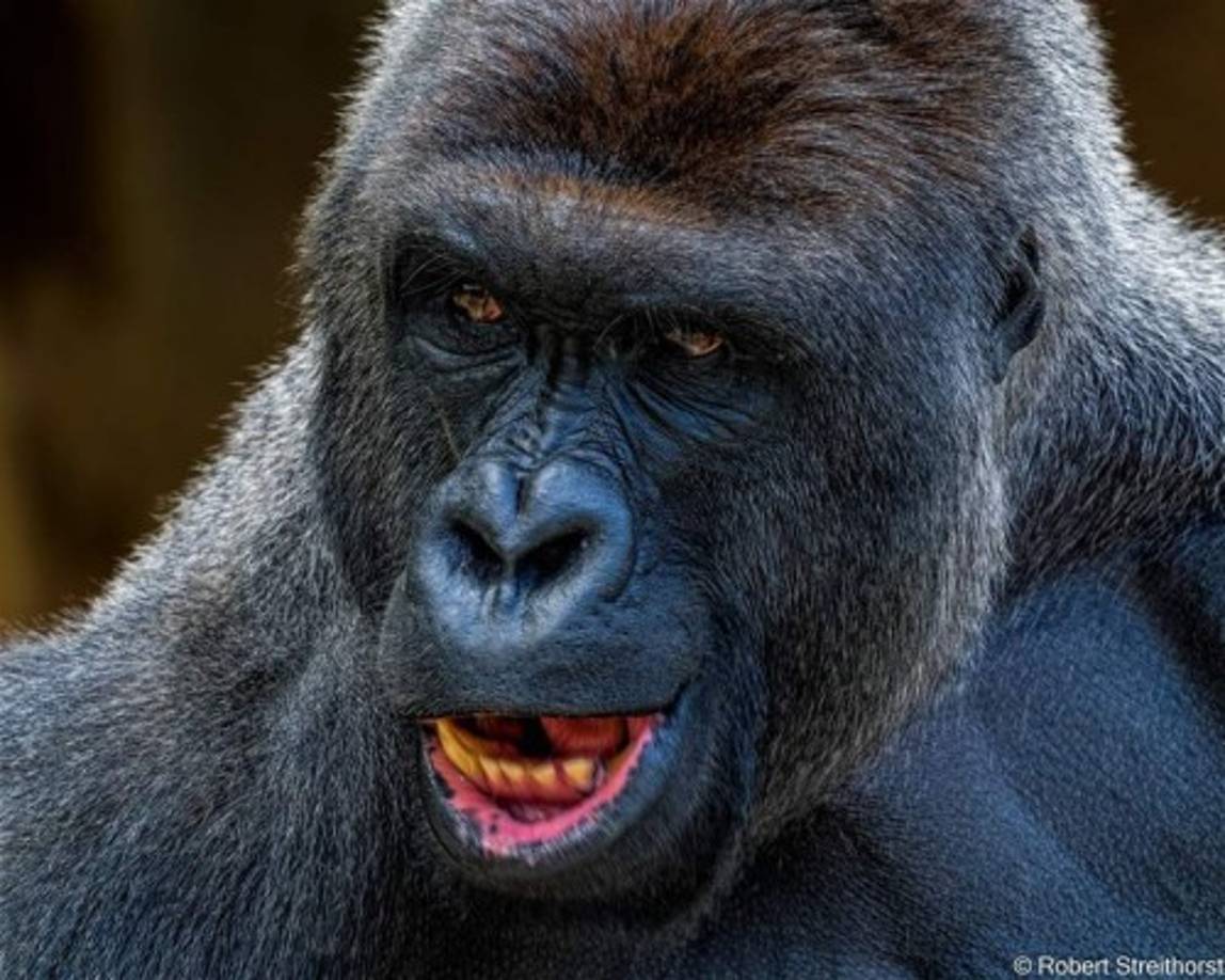 La noticia de su muerte el fin de semana ha sido de gran impacto.