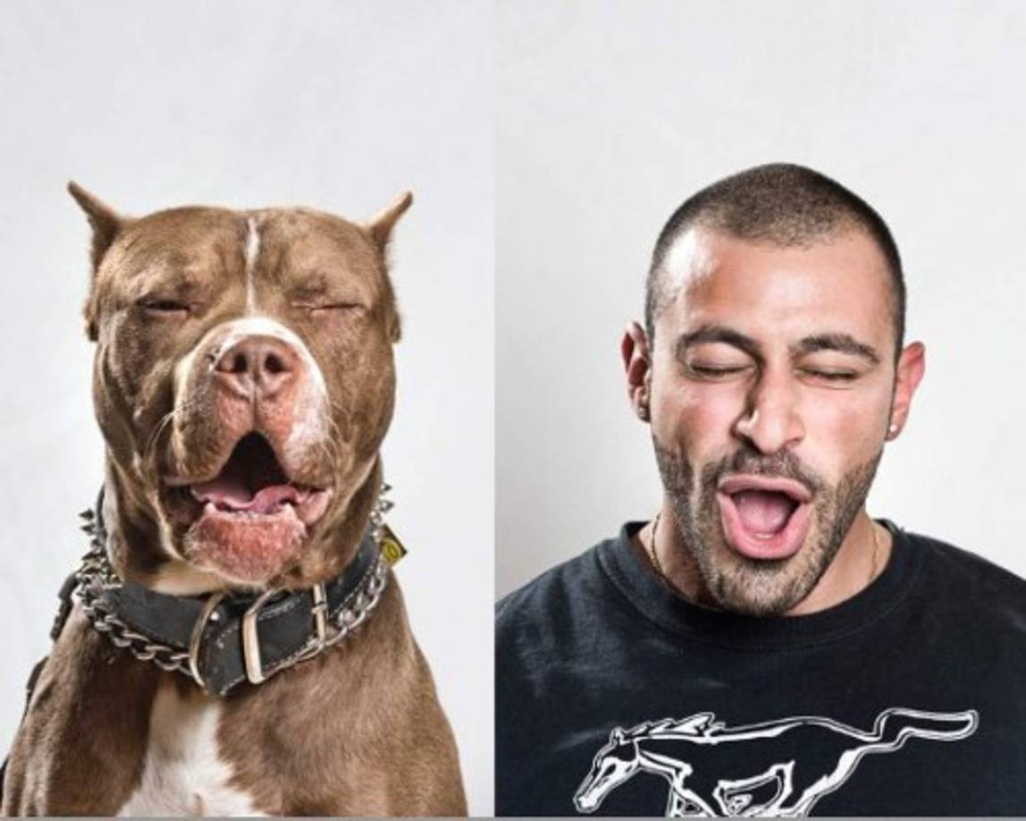 En el estudio se emplearon 24 perros domésticos de varias razas con edades de entre uno y doce años. Todos ellos fueron atados con una correa a un metro de una persona y se grabaron sus caras cuando la persona les miraba o si estaba distraída, entre otras situaciones.<br/>