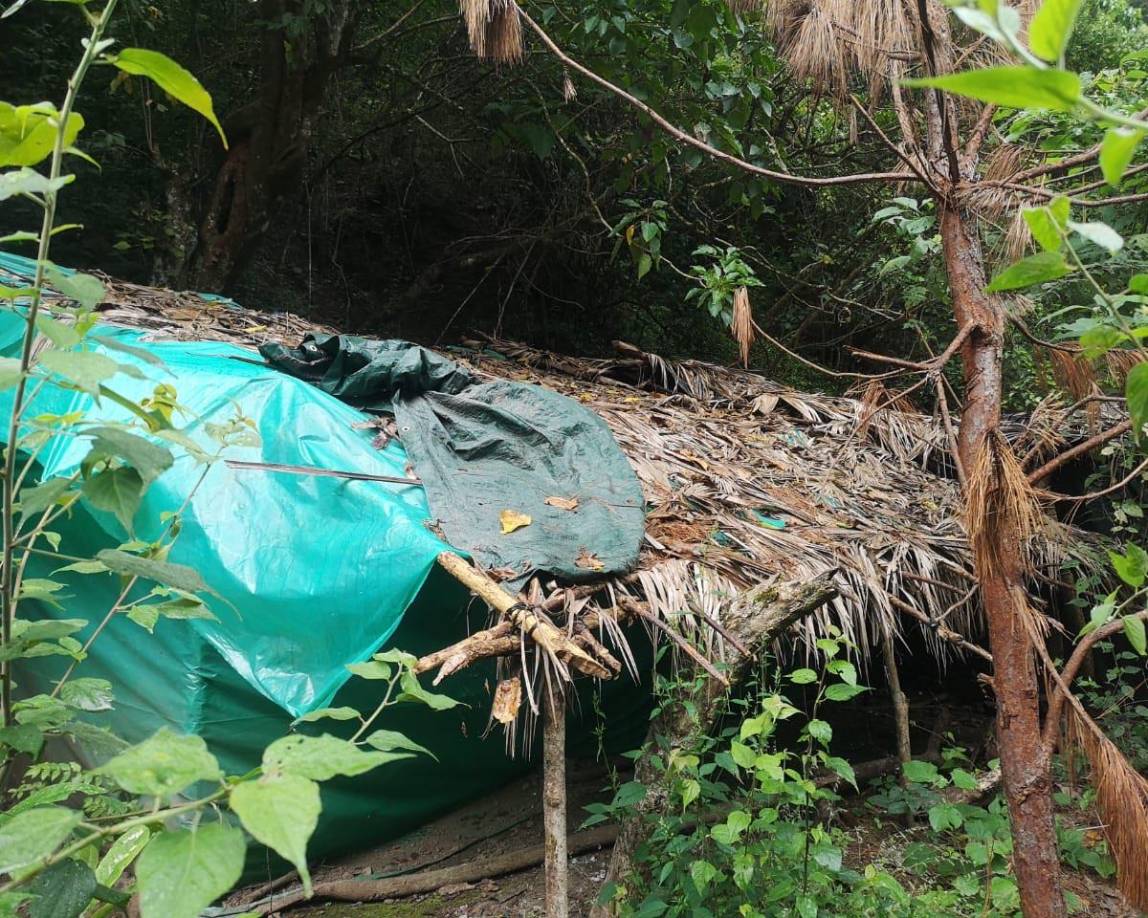 Miembros de organizaciones crimínales implicados en extorsión, homicidios y tráfico de drogas, serían los que montaron estas pequeñas champas. 