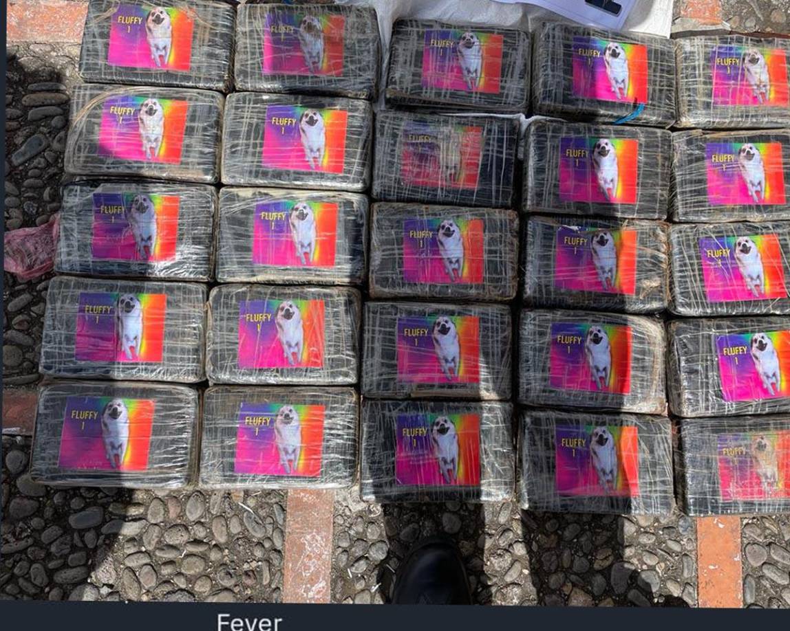 La Agencia Técnica de Investigación Criminal (Atic) y la Fiscalía Especial Contra el Crimen Organizado (FESCCO) contabilizaron un total de 1947 kilos de cocaína.