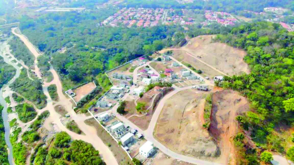 San Pedro Sula y Tegucigalpa pierden millones de árboles