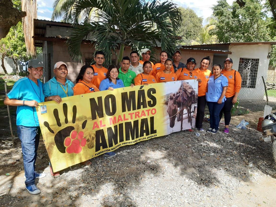 Funapa realizará jornada de vacunación gratuita para animales domésticos