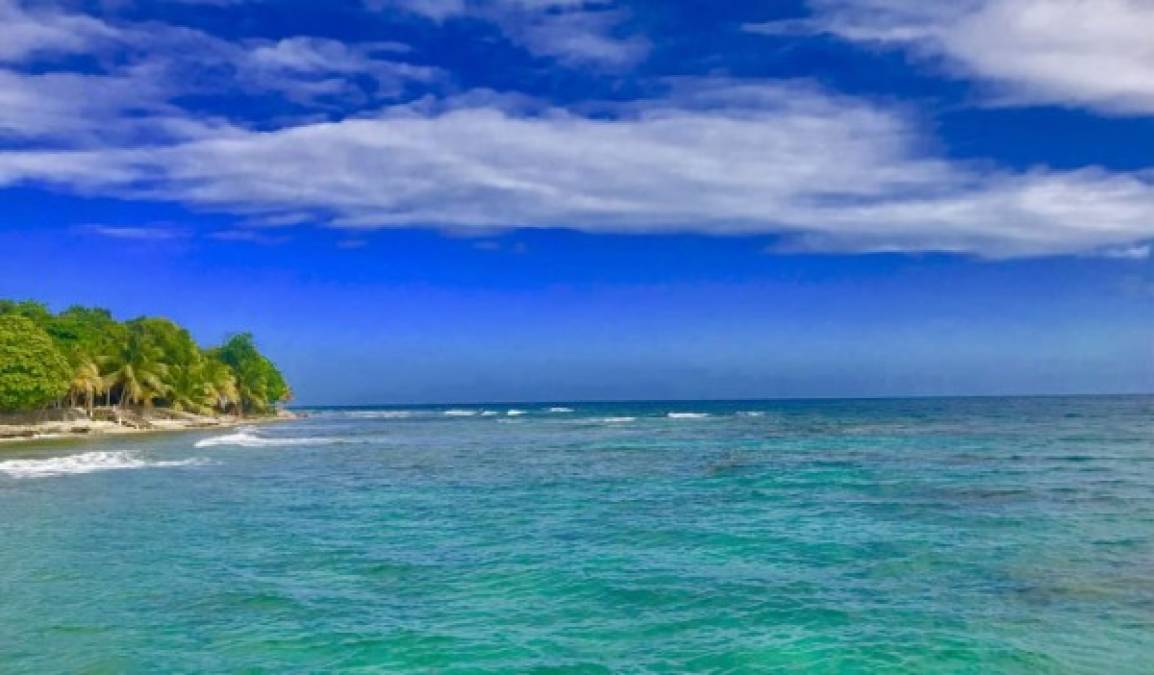 Útila, Islas de la Bahía, Honduras: Este hermoso lugar es conocido por sus arrecifes de coral y por sus numerosas zonas de buceo. <br/><br/>Mide más de 1,000 km de largo y alberga más de 500 especies de peces, 1000 manatís, y una increíble cantidad de delfines.<br/><br/>Utila tiene la mayor población de tiburones ballena, y un centro de investigación dedicado a estudiarlos.<br/><br/><br/>