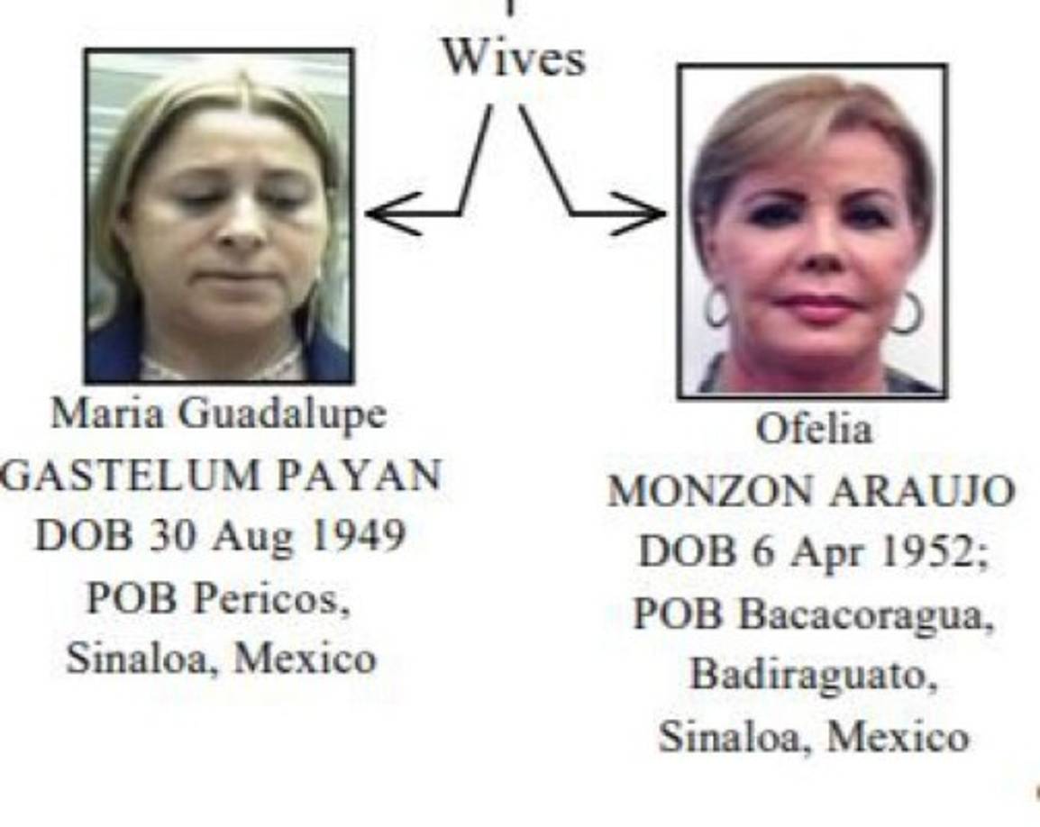 MARÍA GASTELUM Y OFELIA MONZÓN: Uno de los hombres más importantes del Cartel de Sinaloa, alias 'El Azul' (uan José Esparragoza Moreno), puso, según autoridades estadounidenses, empresas a nombre de dos de sus esposas: María Gastelum y Ofelia Monzón.<br/><br/>'El Azul' habría fallecido en 2014 por un paro cardíaco, pero esto, según autoridades mexicanas, no ha sido confirmado. Un centro comercial, otro industrial, un complejo residencial y varias gasolinerías habrían servido a sus familiares, a través de las mujeres, blanquer dinero. <br/><br/>En el organigrama de Estados Unidos sobre ' El Azul', sus esposas aparecen por debajo ligadas a sus actividades. Aún sin ser detenidas, México indica que tienen orden de captura. <br/>