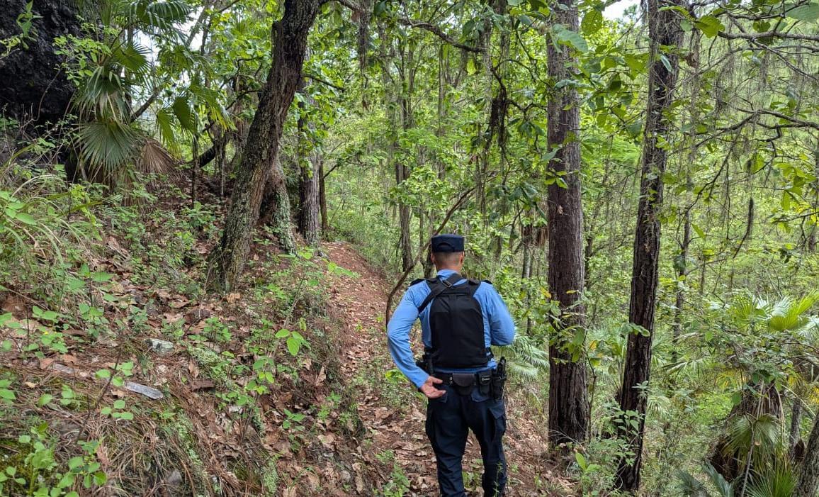 Elementos de la Policía buscaron ayer a los jóvenes en zonas boscosas de Francisco Morazán.