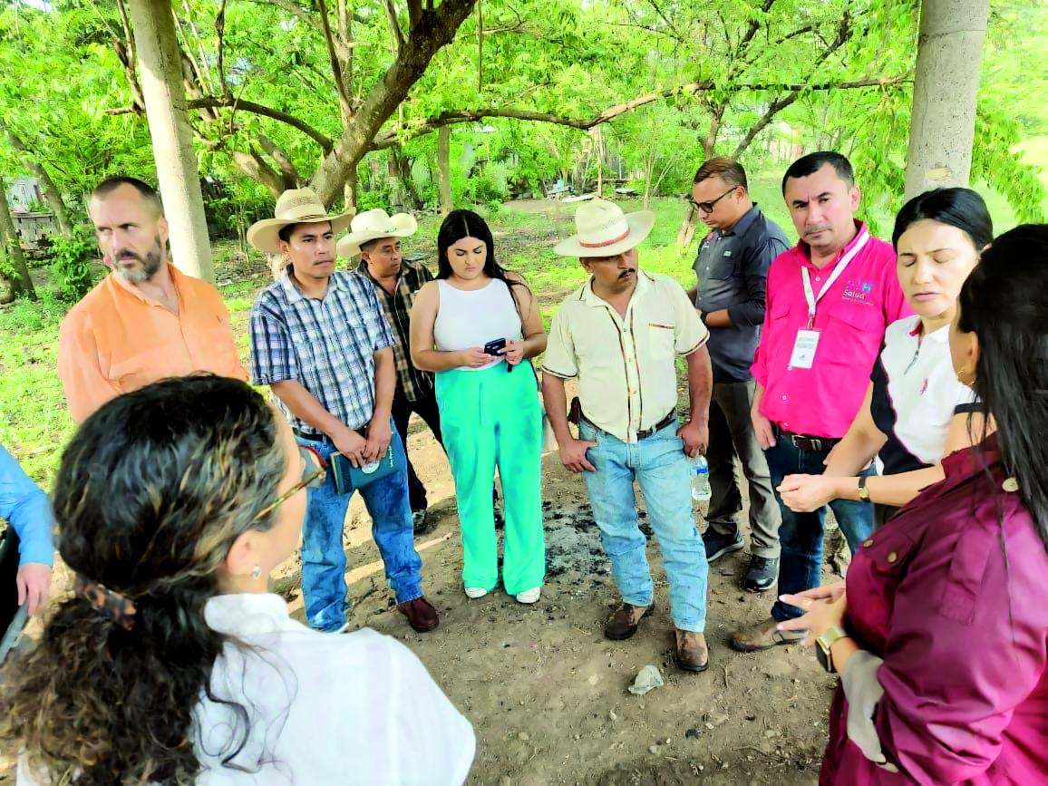 Hondureños reclaman servicios médicos gratuitos.