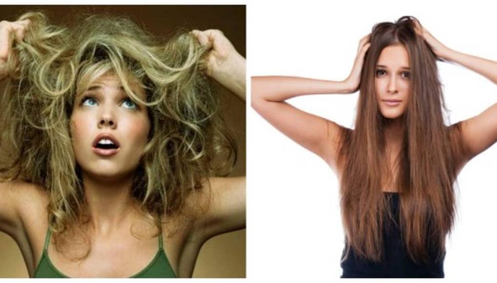 Alimentos que evitan el cabello seco