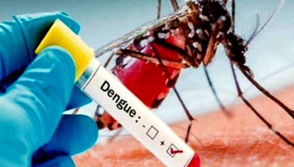 Dengue no da tregua en Honduras: Salud alerta a la población