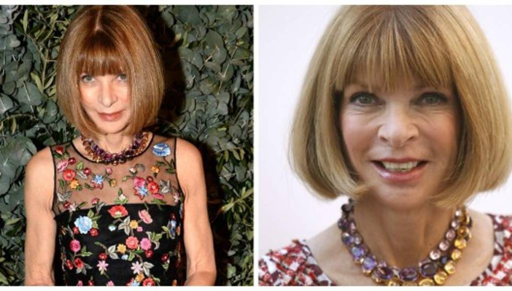 Anna Wintour rechaza bloguera