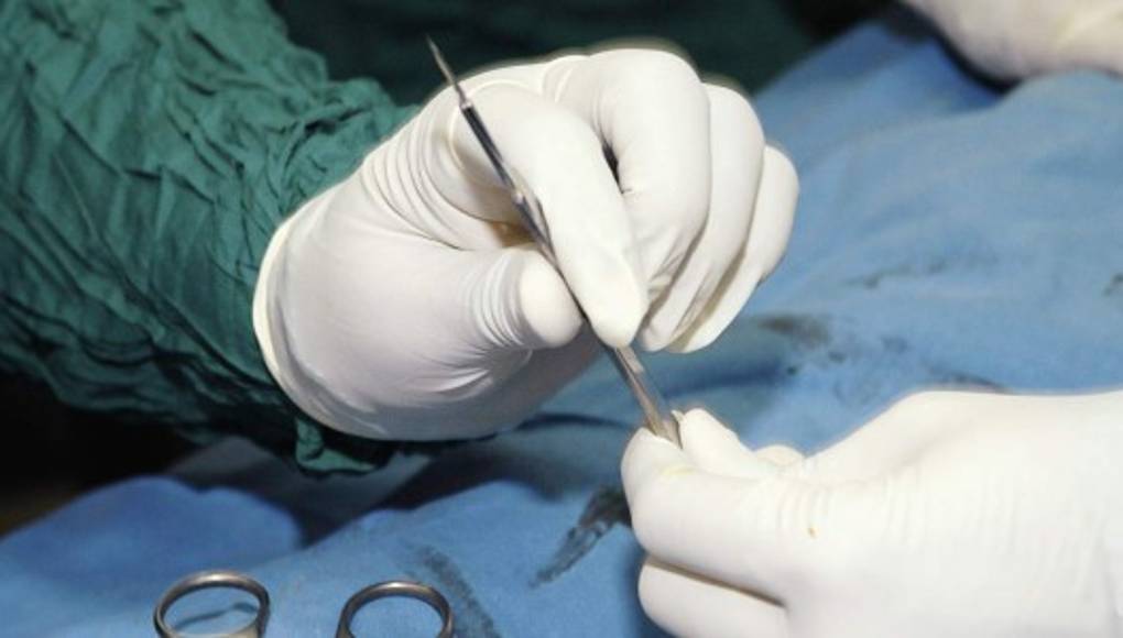 La FDA propone la prohibición de los guantes médicos empolvados