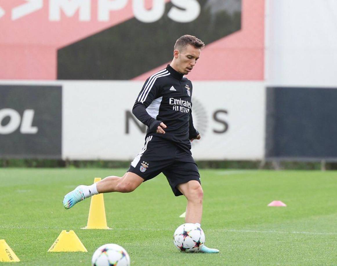 El lateral español <b>Álex Grimaldo</b> podría recalar en las filas de la Juventus de cara a la próxima campaña. El defensor destaca en el Benfica.