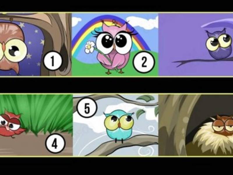 En la red puedes encontrar numerosos tests psicológicos interesantes. La mayoría de ellos consiste en elegir aquellos que mejor te describen o que por alguna razón desconocida más atrae tu atención. Lo que para ti puede ser un misterio, para los psicólogos de renombre del mundo es una información muy valiosa de lo que puede pasar en tu interior. Es porque estudian todo aquello que tú no registras de manera consciente, sino eliges a partir de tu intuición. Sin embargo, detrás de ella se esconde un proceso cognitivo avanzado, pero apartado por el cerebro porque sería una cantidad de datos demasiado grande para analizar en un periodo de tiempo muy corto. Después de esta corta introducción, te invitamos a participar del siguiente test: elige el búho con el que te sientes más familiarizado y descubrirás algo increíble de ti. ¿Lo tienes?