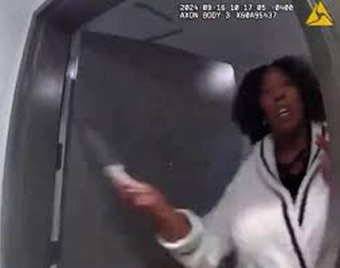 Un profesional de salud mental había pedido al departamento de policía que “realizara un control de bienestar” de Wilson “por temor a que estuviera en un estado de agitación”, y un oficial capacitado en intervención de crisis, Peter Liu, llegó a Reston, Virginia, aproximadamente a las 10:07 am, según la policía.