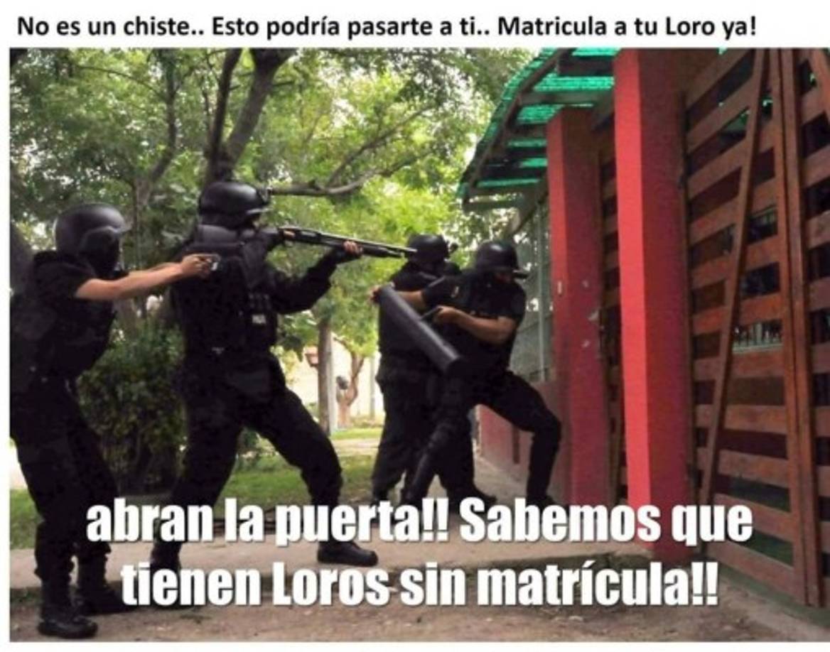 Los documentos que se necesitan son una fotocopia de la cédula del propietario de la mascota y tres fotografías mostrando el espacio donde habita el ave, algún rasgo que lo identifique y una imagen frontal.