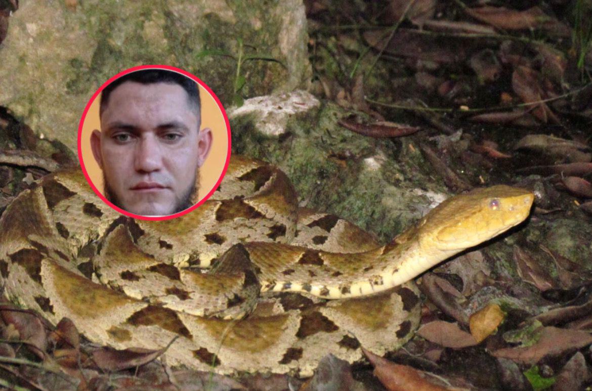 Hondureño muere tras ser mordido por una serpiente en Colón