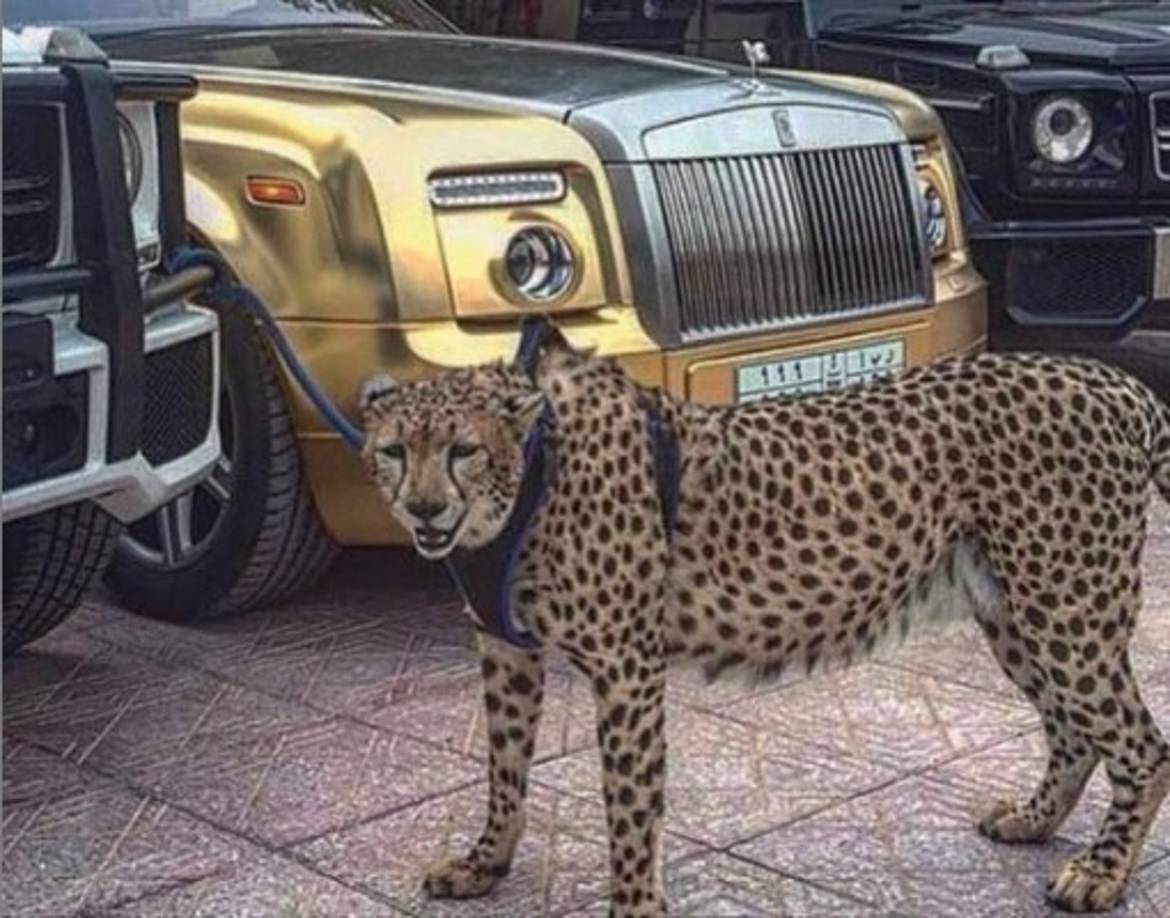 'Lo difícil es como tal identificar cuándo es ilícito y cuándo no, por ejemplo, imágenes de campos de amapola, eso sí es llamativo a lo mejor a cierta cantidad de personas, (pero por) el puro hecho de acceder a esa imagen los algoritmos de TikTok automáticos no dicen nada', expuso García.