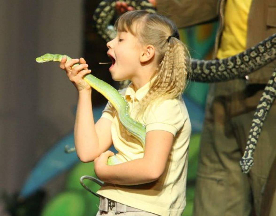 A los 8 años, Bindi Irwin protagonizó una serie de televisión para niños 'Las aventuras de Bindi'. Es famosa por no tenerle miedo a ningún animal, así sean serpientes.