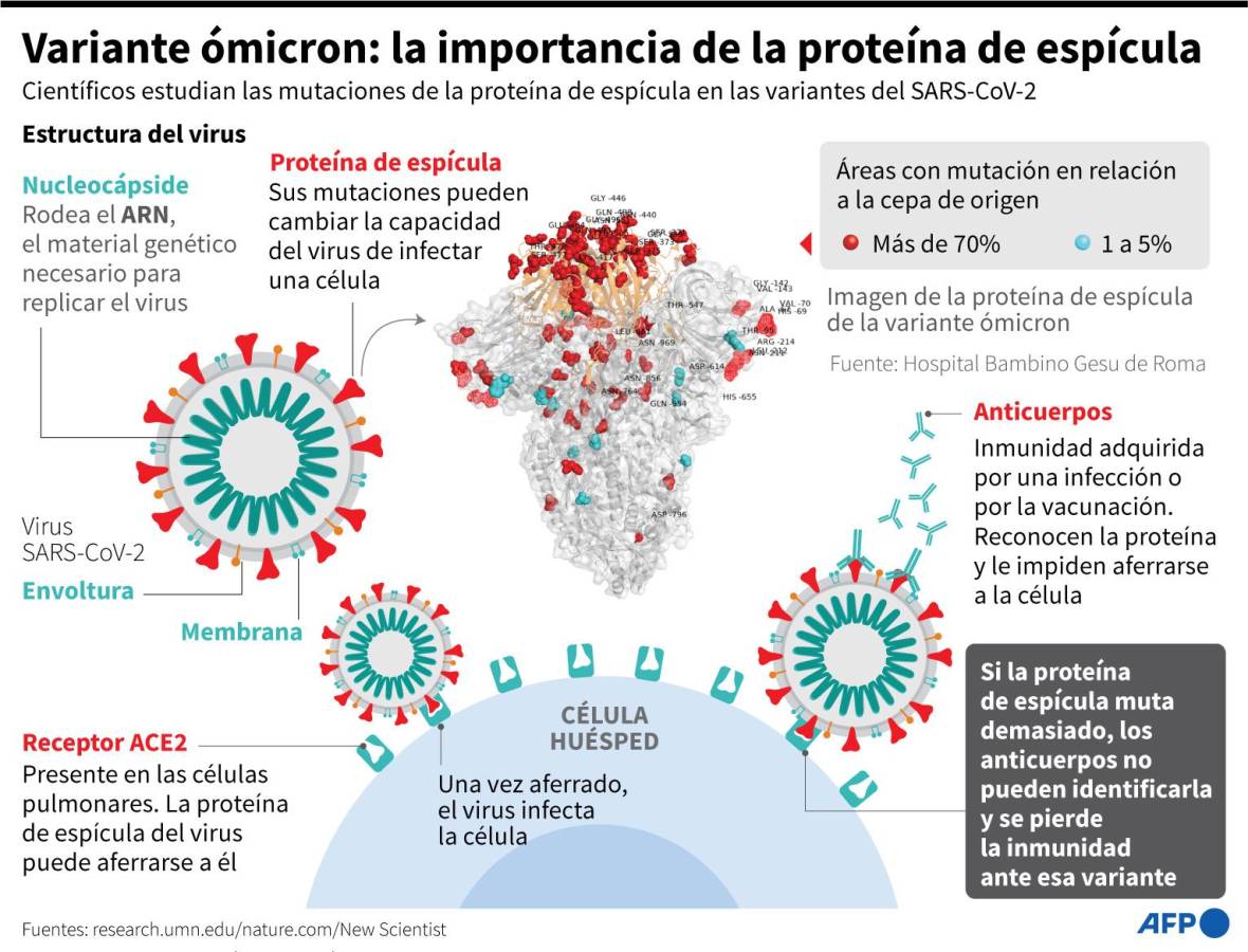 Científicos trabajan a toda velocidad para determinar los riesgos de la nueva variante.