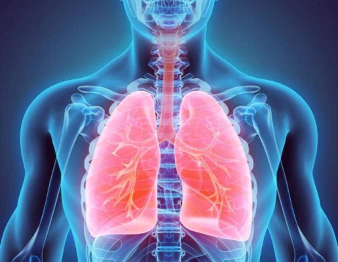 Generalmente tenemos dos pulmones, pero solo uno es necesario para darle oxígeno a la sangre. <br/><br/>Si todo el pulmón o una parte de él debe ser removido, el pulmón que queda tiene la habilidad de expandirse para cubrir el trabajo del anterior. Aunque una persona con un solo pulmón puede tener más problemas para respirar, y puede no ser recomendable que haga ejercicio intenso, si puede vivir sin él.