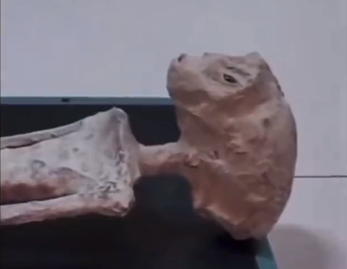 El mensaje viral señala que el “ufólogo mexicano Jaime Maussan presentó dos supuestos ‘cuerpos’ de extraterrestres disecados hallados en Perú con más de 1.000 años de antigüedad” e incluye cuatro fotos de las figuras presentadas por el conocido conductor de televisión mexicano.