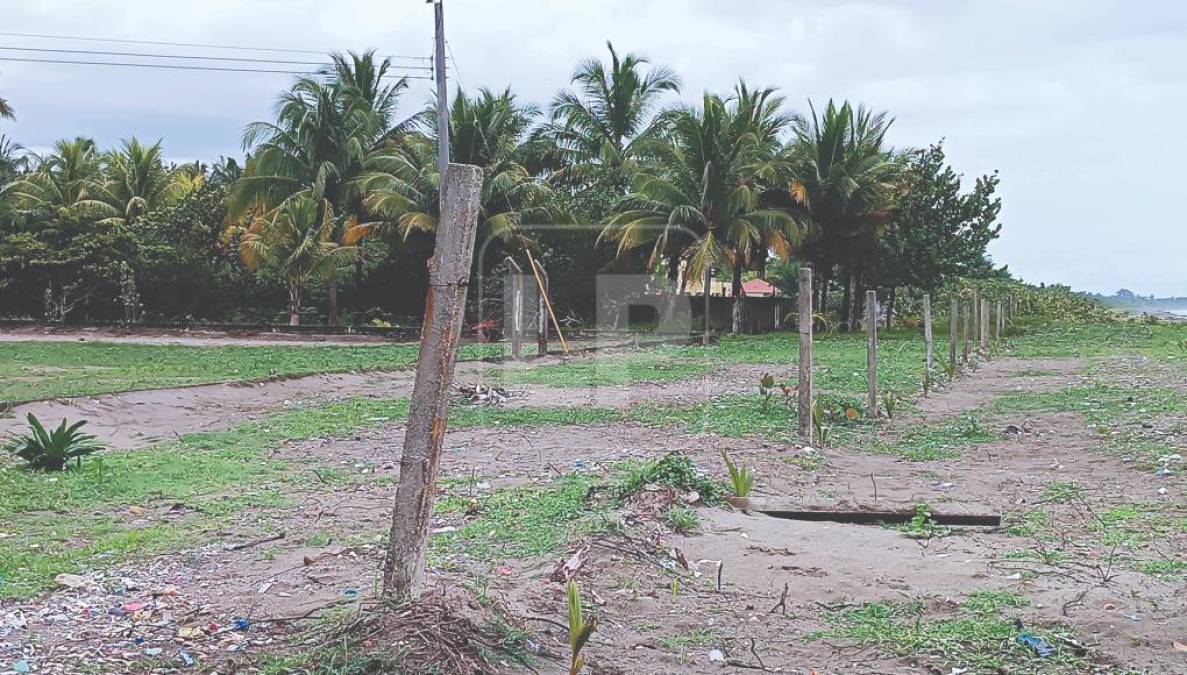 “La municipalidad llegó al sitio y documentó. Emparejaron el terreno en la boca del estero. Removieron la campa vegetal y afectaron el mangle. El tema es conocido por la Comisión de Ambiente Municipal. A ellos se les han hecho dos citaciones, pero no hacen caso. Este caso tiene que conocerlo la Fiscalía”, dijo Banegas. “Cabe destacar que hay información que se maneja confidencialmente porque está en investigación”.